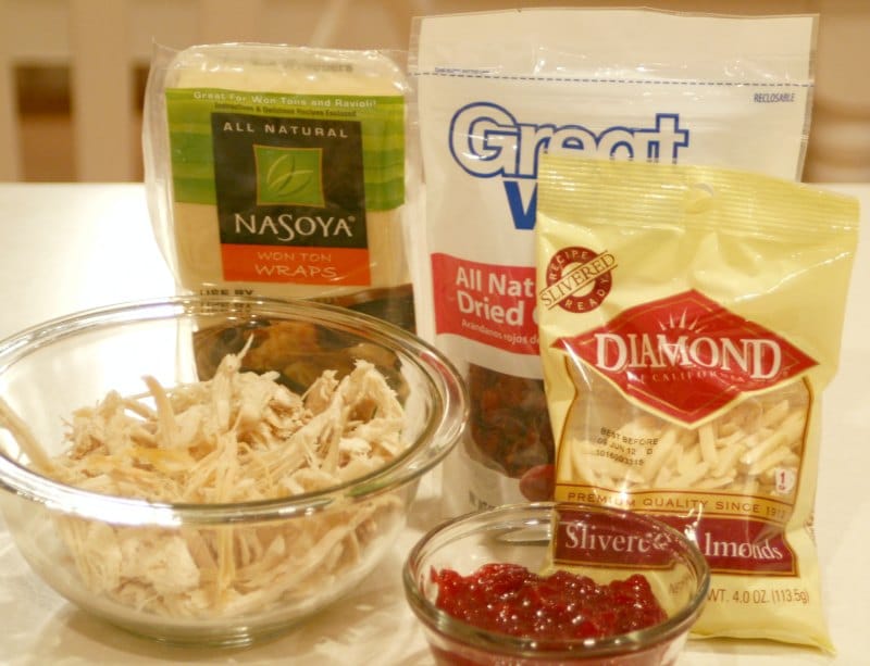 Thanksgiving leftovers wonton ingredients 