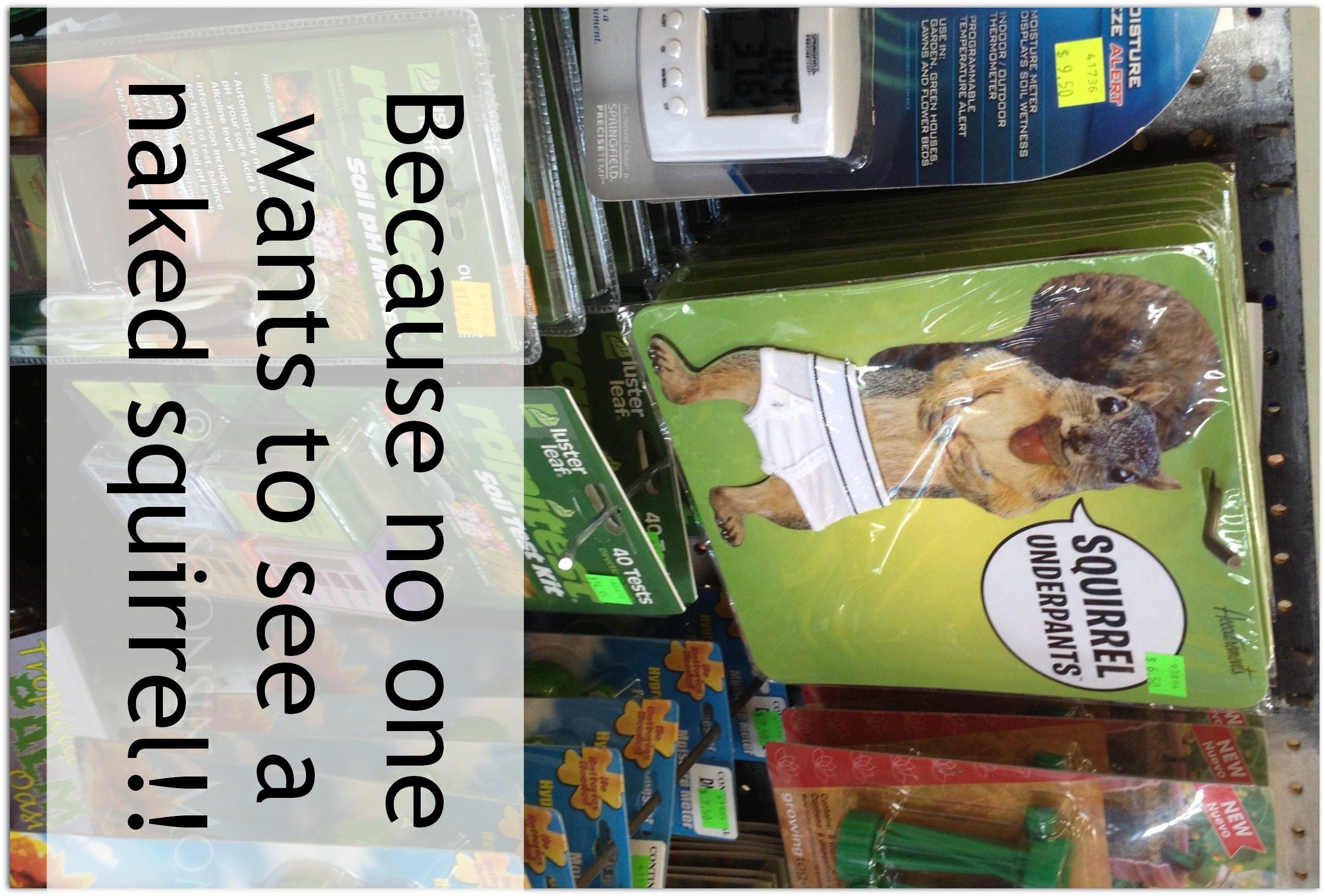 Our Visit To American Science and Surplus #FieldTripFriday