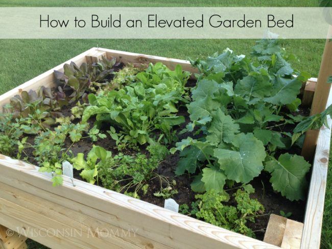 How to Build an Elevated Bed Garden made of wood