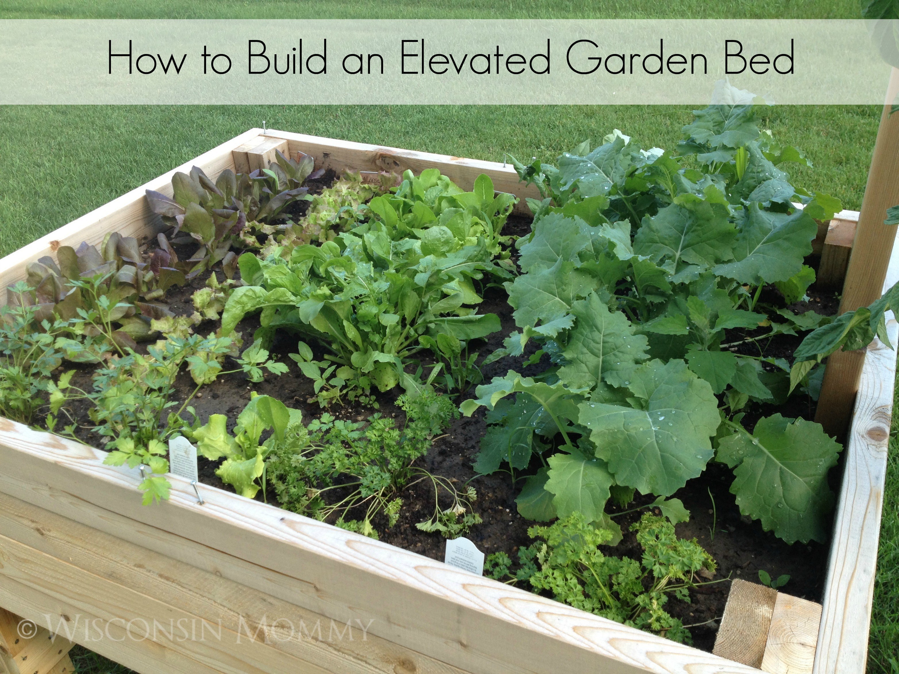 How to Build an Elevated Bed Garden #DIY #Gardening