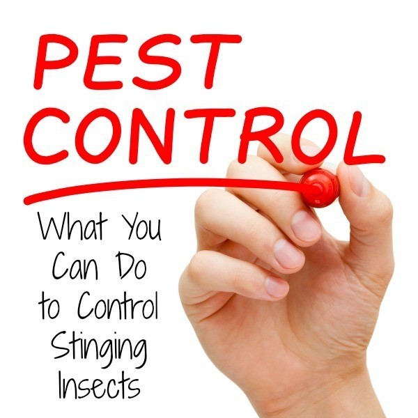 What you can do to control stinging insects.