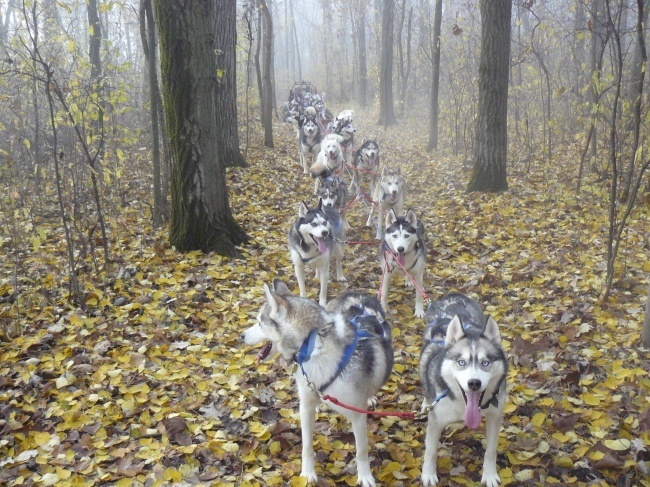 Siberian Outpost (1)