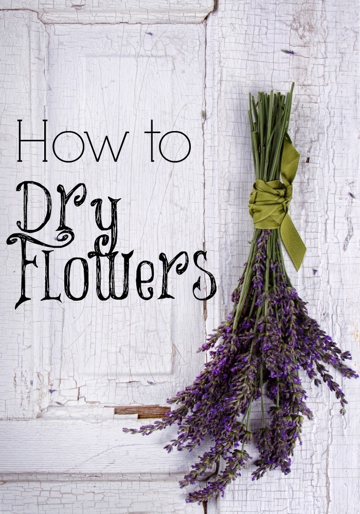 how to dry fresh flowers