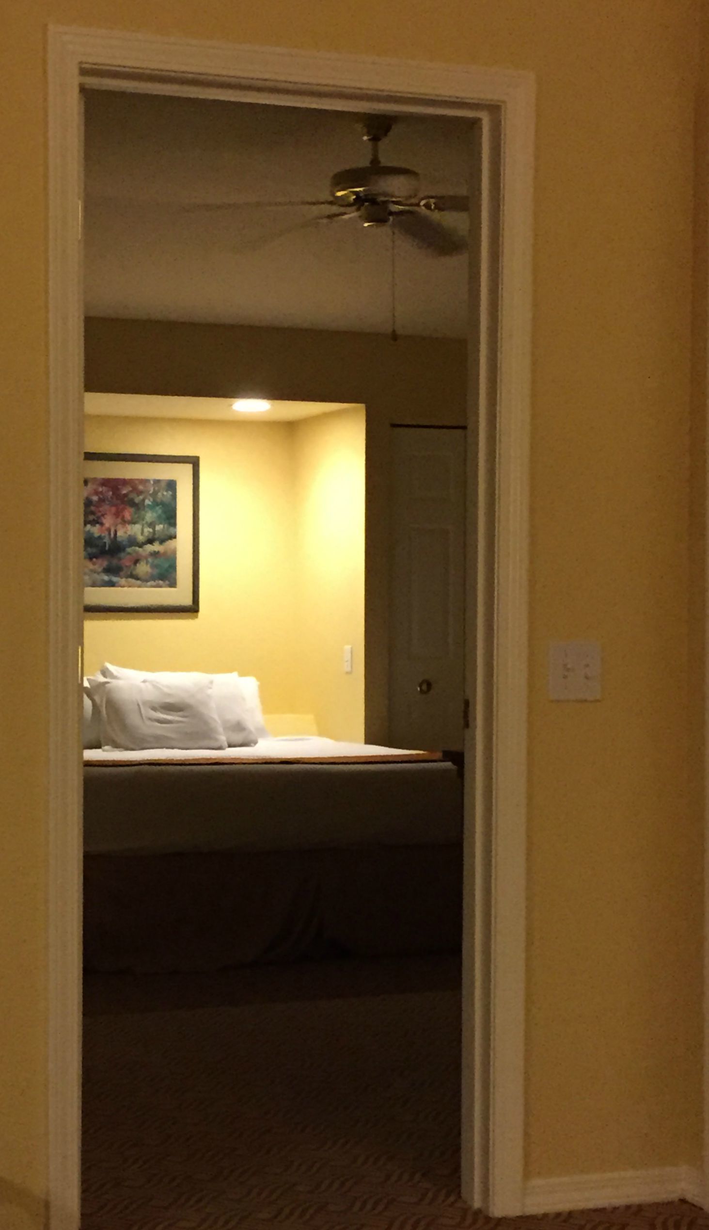 Insomnia Nation &ndash; Are You an Insomniac Citizen??