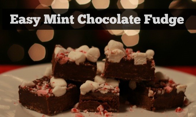 Easy Mint Chocolate Fudge Recipe