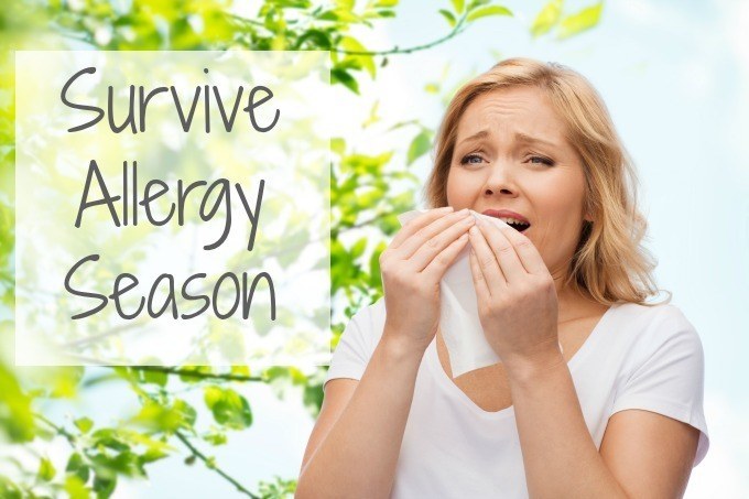 Survive Allergy Season