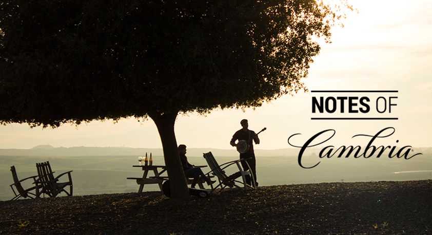 Pairing Wine and Music with Notes of Cambria