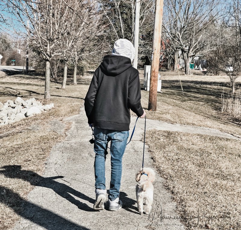 Preparing 5 Dog Breeds for Winter in Wisconsin