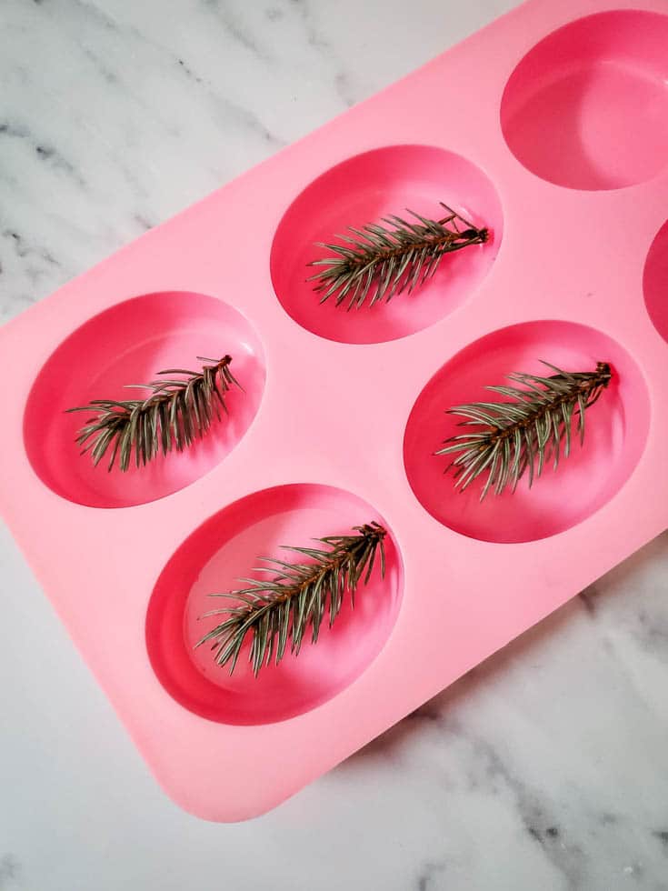 half filled soap mold with pine sprigs