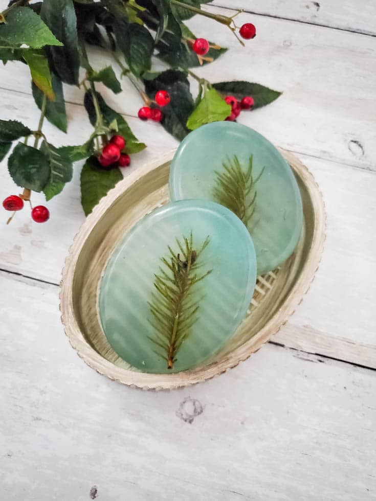 two pine scented soaps in a dish with holly decor
